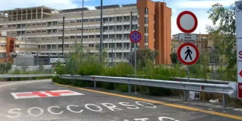 morte morso ragno violino