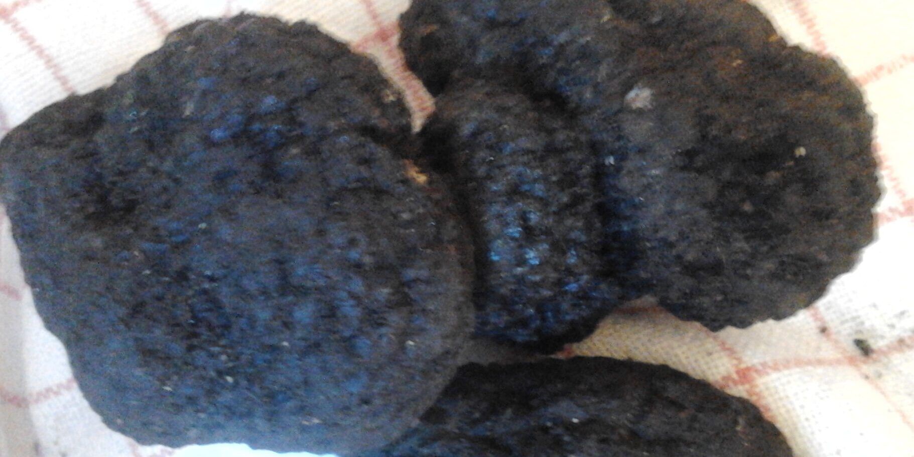 La biodiversità delle specie di tartufo del territorio del Pollino