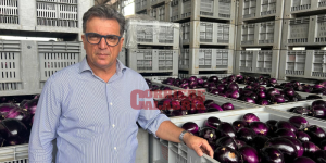 «Siamo in una situazione drammatica»: l’allarme dell’imprenditore agricolo Giampà sul blocco dei tir