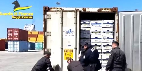 cocaina_container_banane_gioia_tauro