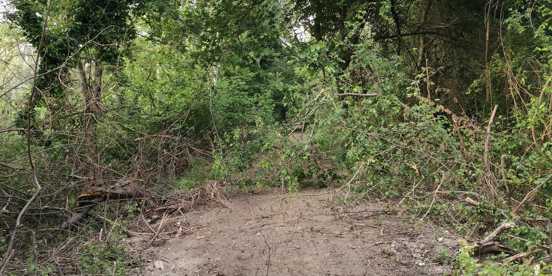 Argini del Crati, Papasso: «Lattughelle e i Laghi di Sibari non sono al sicuro»