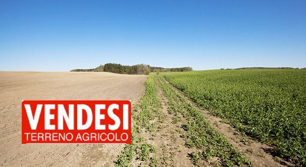 Il clan Mancuso agenzia immobiliare della ‘ndrangheta. «I terreni a Nicotera sono cosa loro»