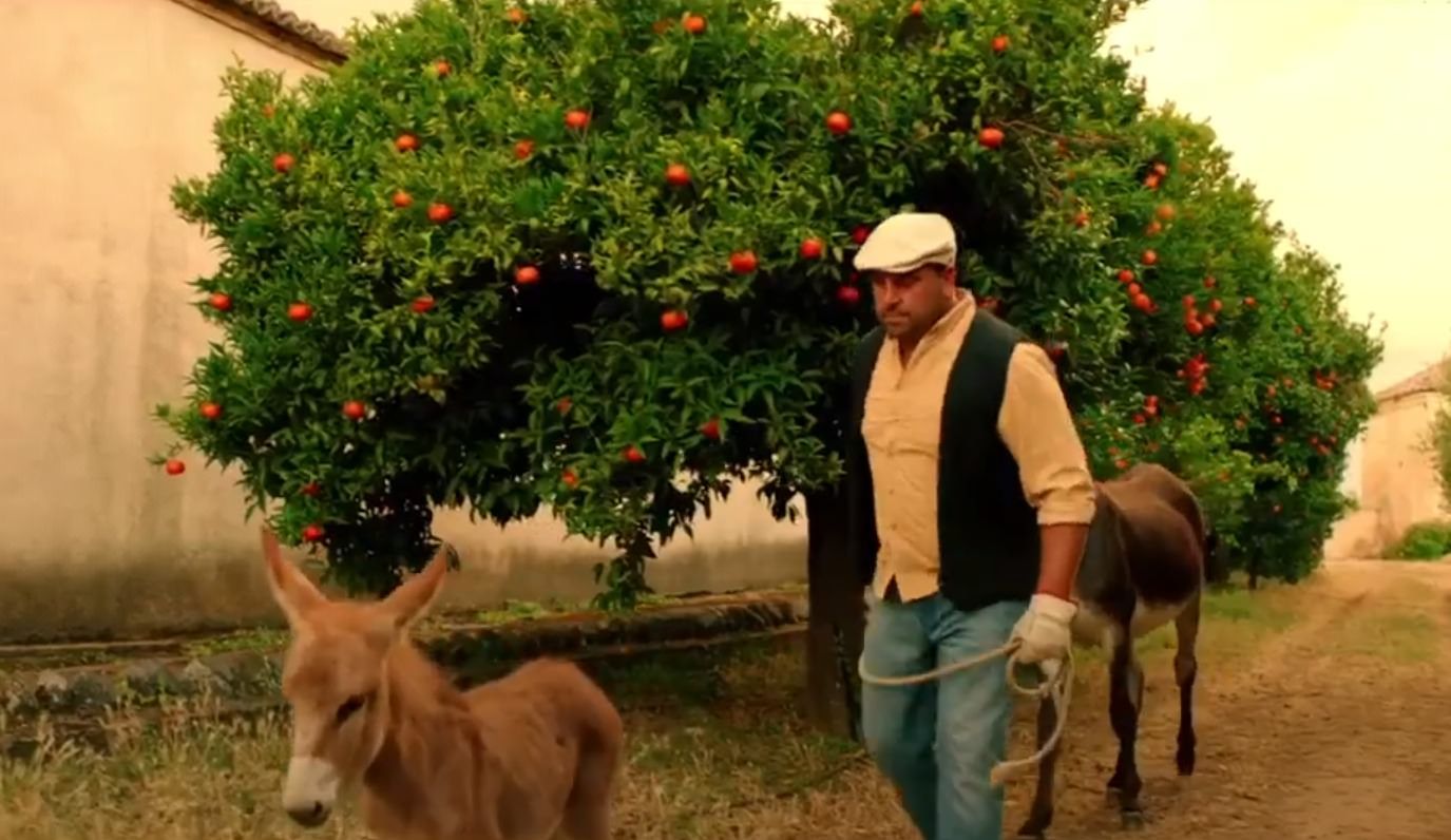 Muccino e i quasi due milioni spesi per raccontare una Calabria che non esiste