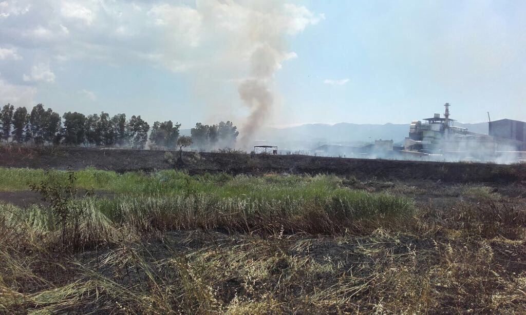Rende, paura per il rogo all'ex Legnochimica
