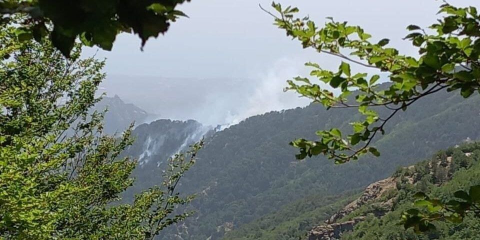«Torna a preoccupare il fuoco in Aspromonte»