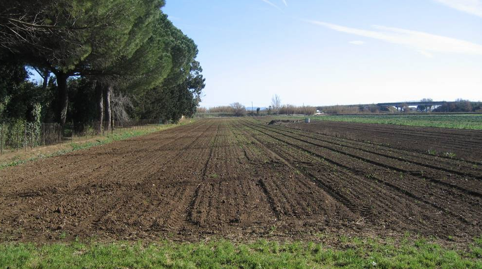 «Se si avvicina gli taglio le gambe». A Nocera l’aiuto del boss nella “guerra” per un terreno