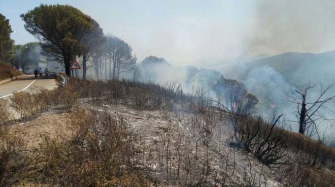 E Oliverio chiede il supporto dell'esercito contro i roghi