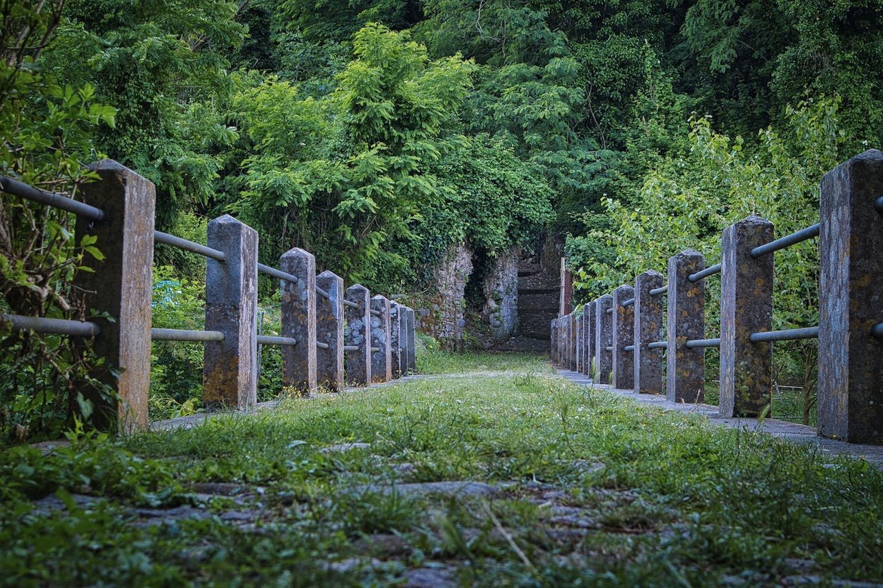 Parchi per il Clima 2021: nove progetti finanziati nel Parco nazionale dell’Aspromonte