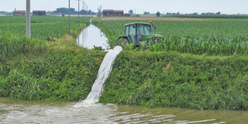 consorzi-bonifica-calabria-disavanzo