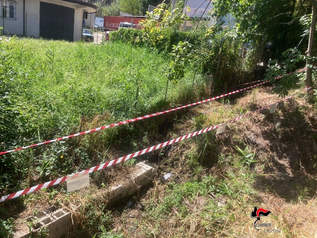 Cotronei, liquidi pericolosi e olio esausto sversati sul terreno: denunciata 54enne