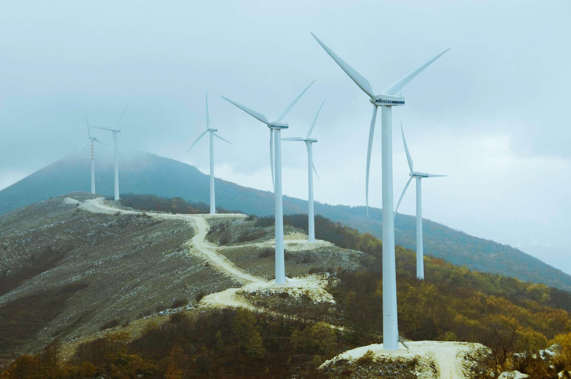 I dubbi sull'azienda capofila del "piano Cutro"