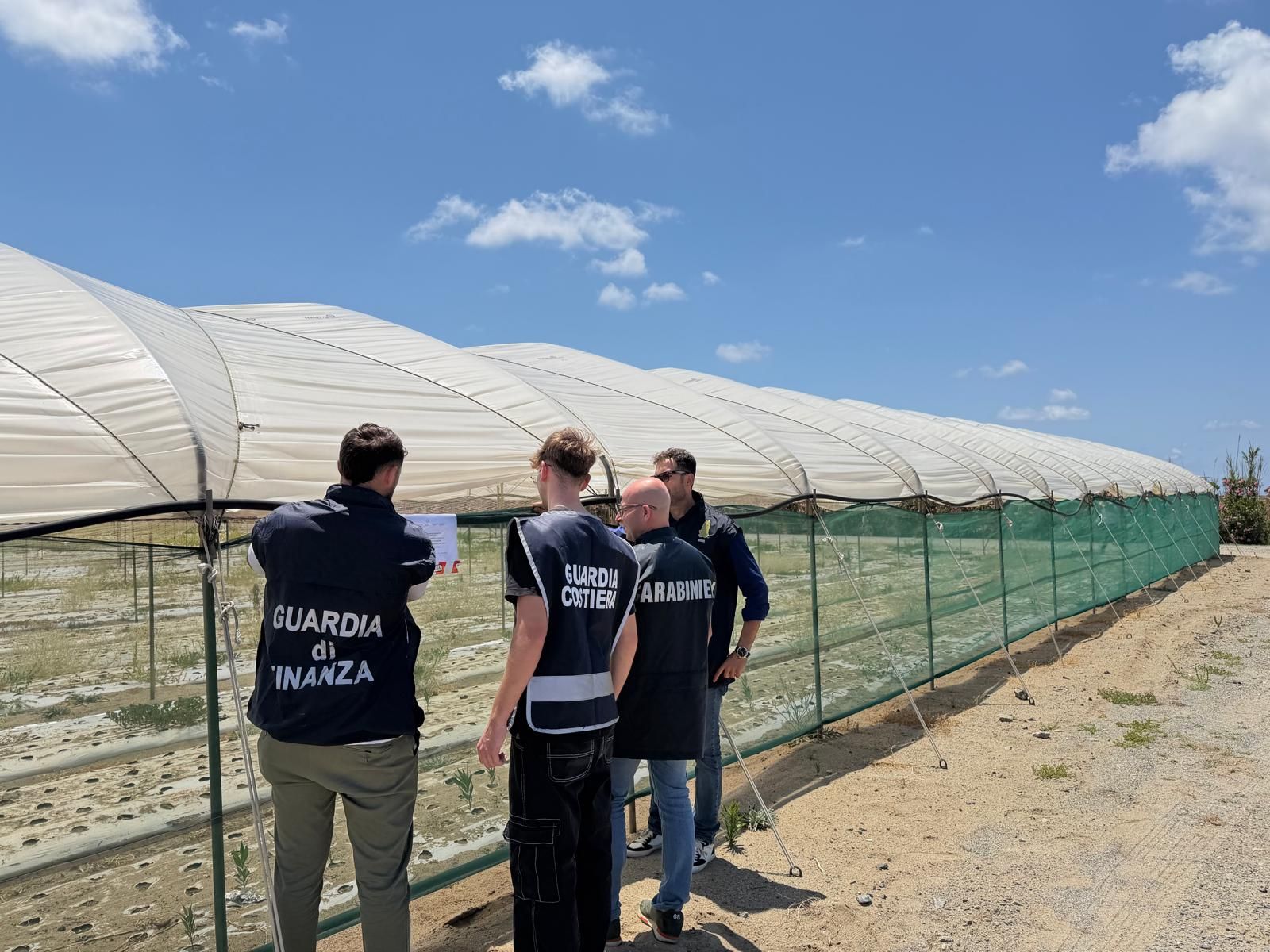 Occupata abusivamente per coltivare cipolle, sequestrata un’area da 26 mila metri quadrati a Lamezia Terme