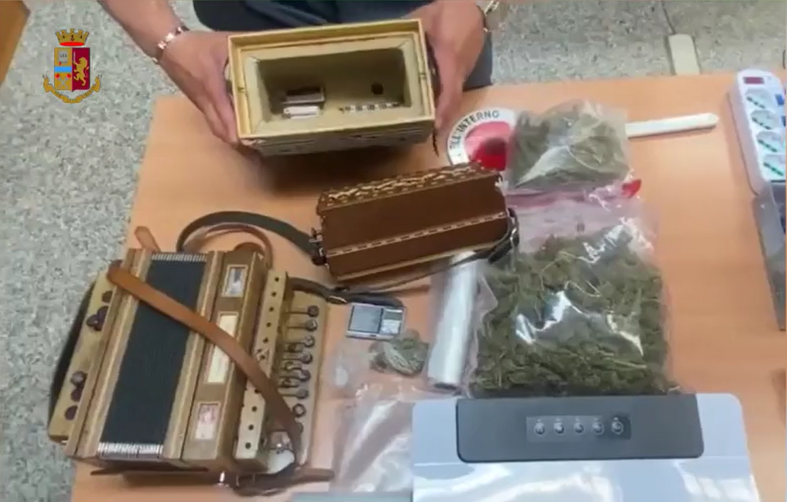 Droga nascosta tra i pannolini e in una fisarmonica, un arresto a Vibo – VIDEO