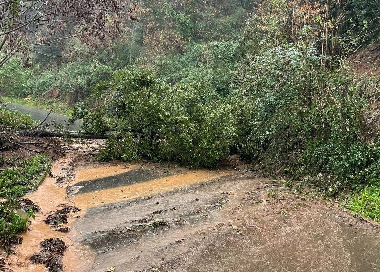 La Calabria nella morsa del maltempo: frane e strade bloccate. Due aerei verso Reggio dirottati a Catania – FOTO