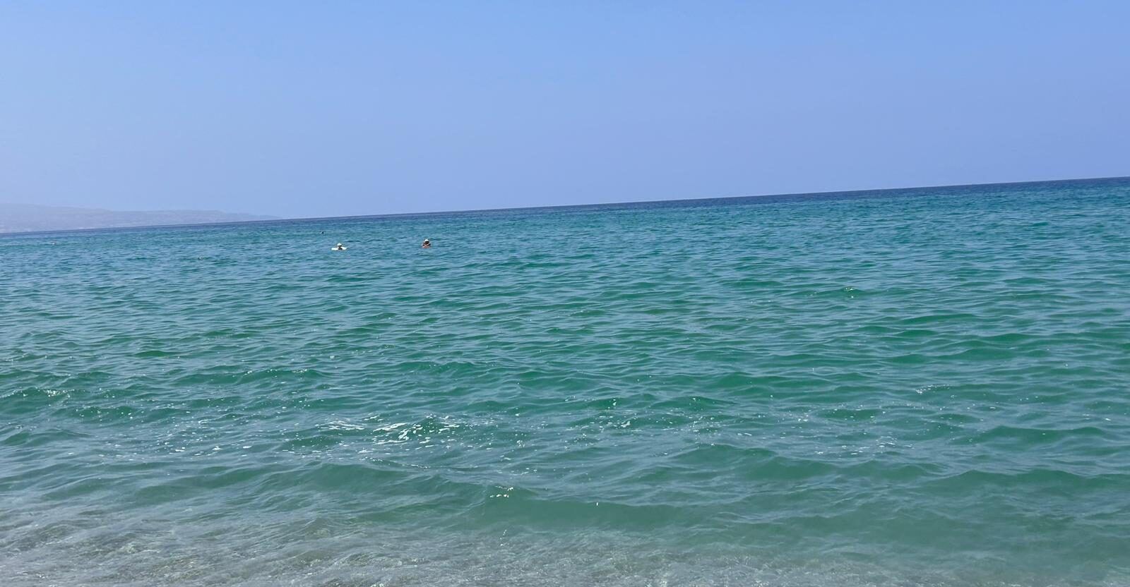 Mare verde a Pizzo, continuano le lamentele di turisti e bagnanti: «È frustrante» – FOTO