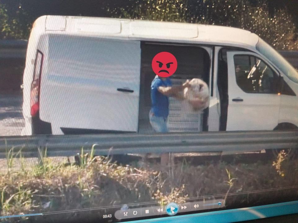 Vibo, Limardo contro abbandono selvaggio dei rifiuti: «Gesto ignobile» – FOTO