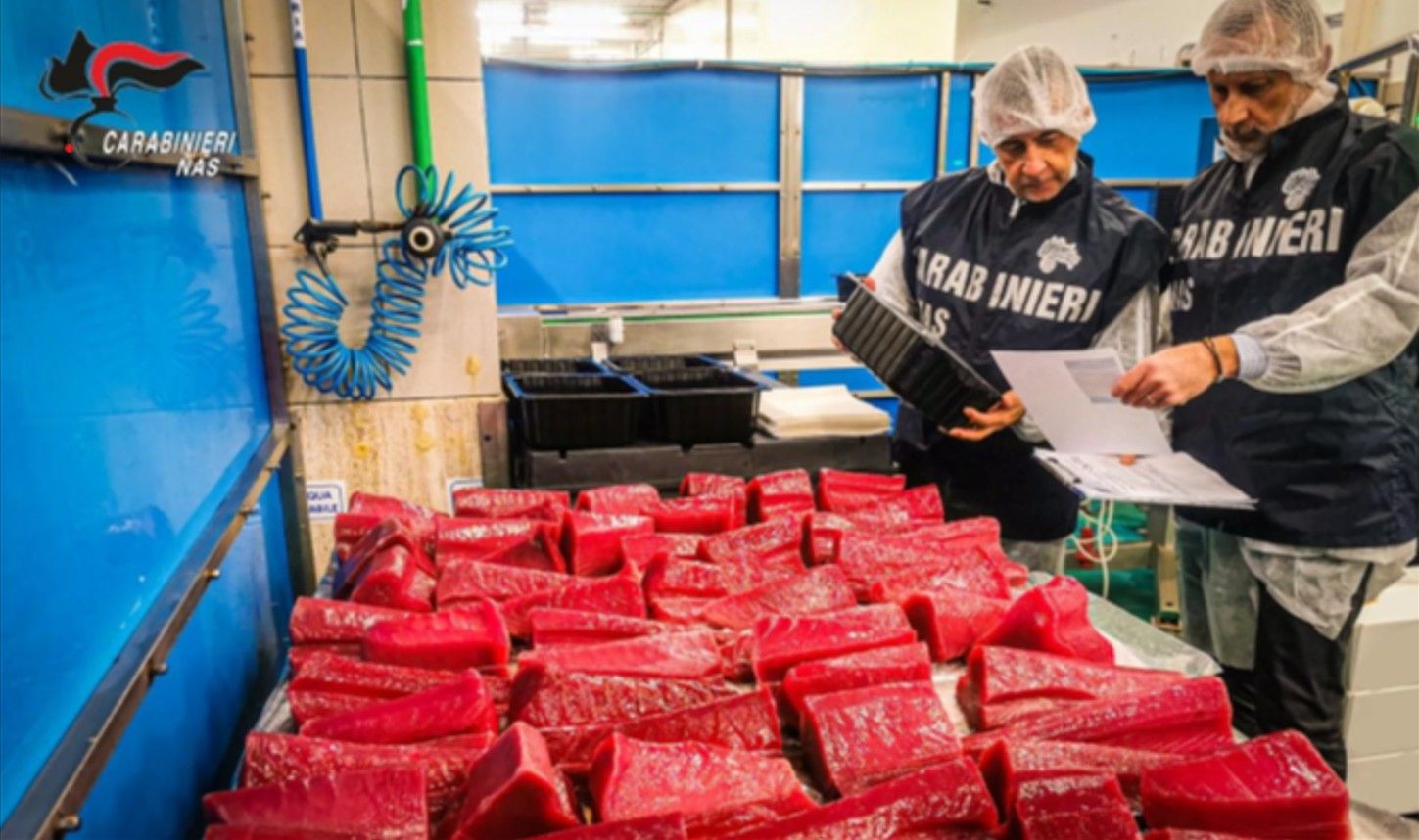 Catanzaro, i Nas sequestrano 15 chili di prodotti ittici privi di rintracciabilità
