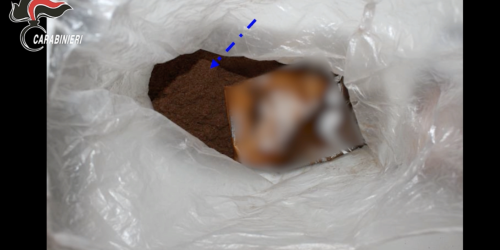 L’eroina fornita dagli albanesi ai clan crotonesi: sul bus da Milano il carico nascosto con il caffè: «Copriamo tutto»