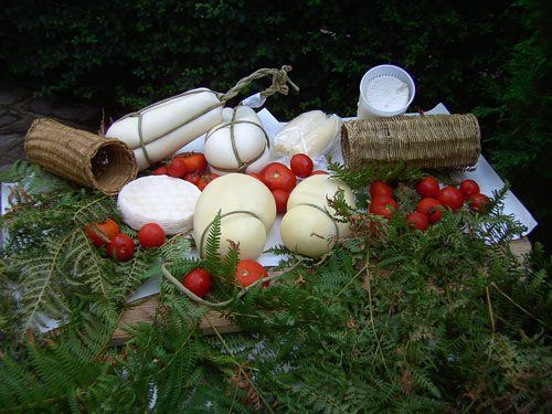 Aumenta il business delle agromafie