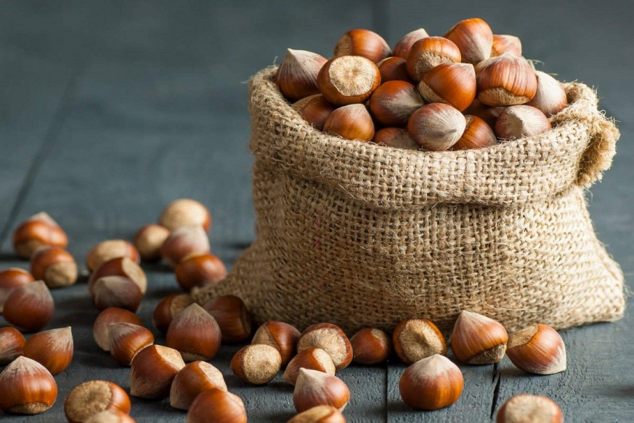 Nocciole, allarme Confagricoltura: perdite fino al 70%