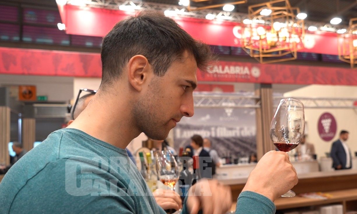 La Calabria del vino tra identità e risultati