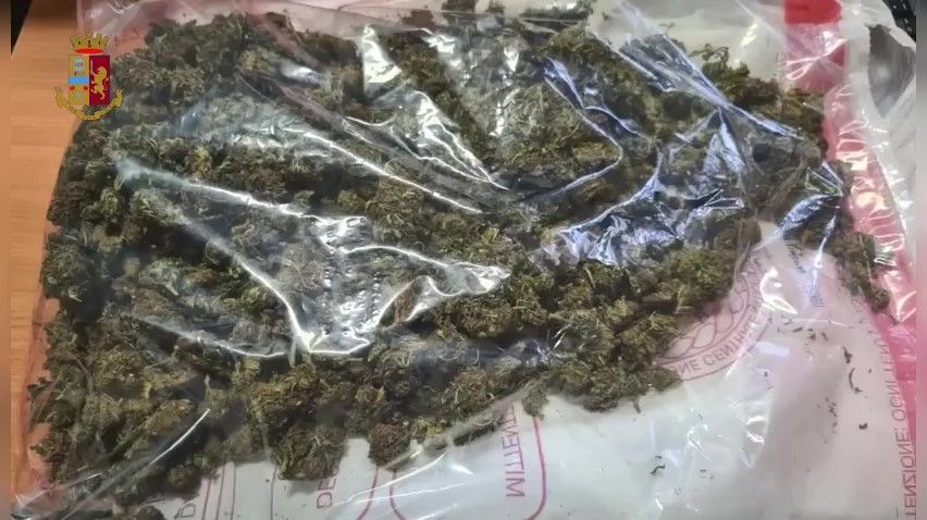 Trovati con mezzo chilo di marijuana in auto: tre arresti a Pizzo Calabro