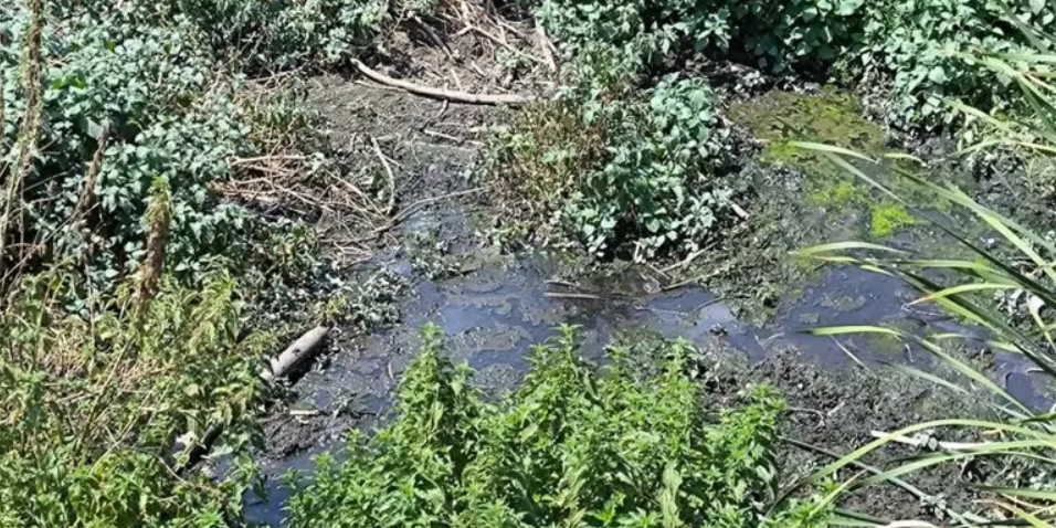 Reflui non depurati in un torrente, sequestrato uno scarico fognario a Catanzaro