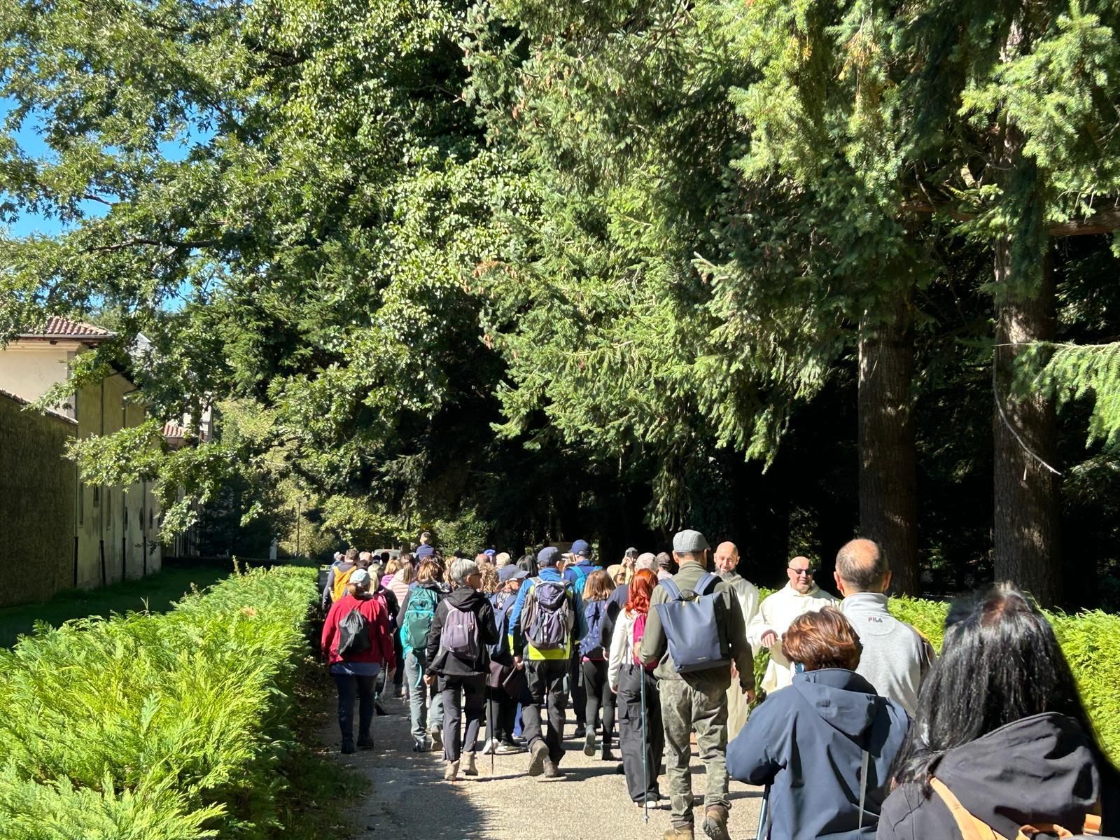 Il “Serreinfestival” punta su trekking e Forest Bathing per valorizzare la montagna