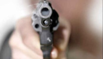 Mitra per saldare i debiti e pistole al bambino di 6 anni: l’arsenale del clan Alvaro tra i boschi dell’Aspromonte
