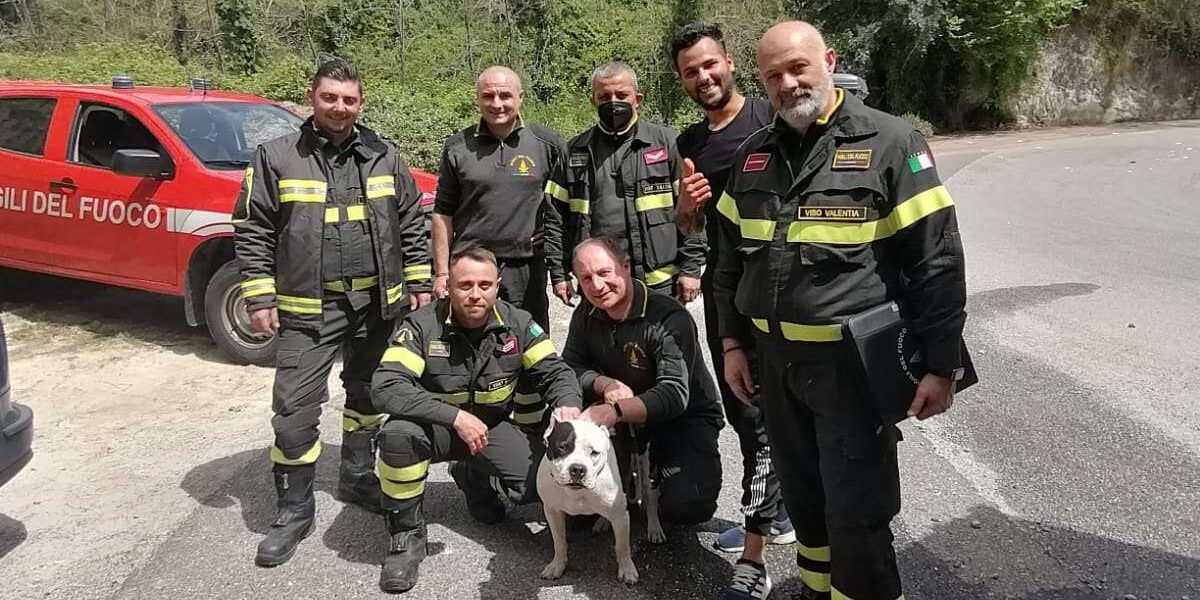 Un cane e il padrone cadono in un dirupo, salvati dai vigili del fuoco nel Vibonese