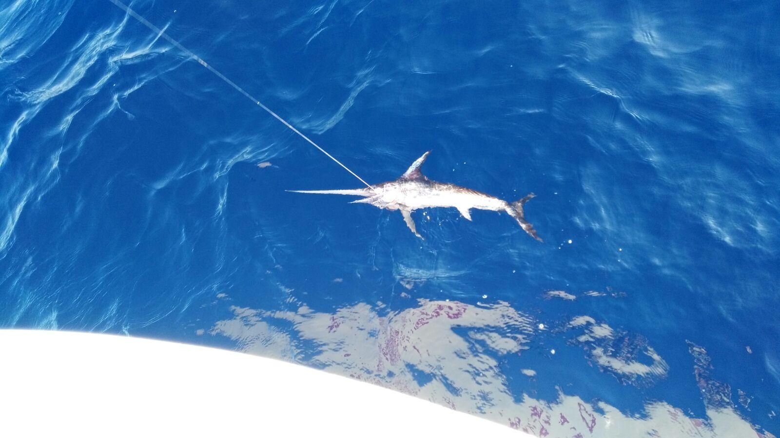 Pesca abusiva, sequestro nel Reggino