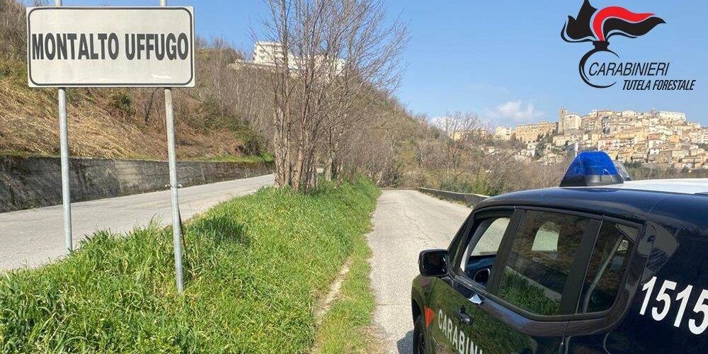 Tentato incendio boschivo, denunciati due fratelli