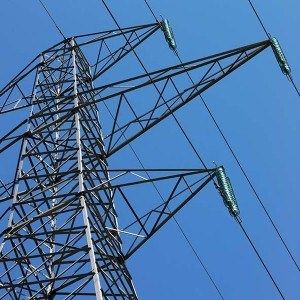 «Enel azienda reticente e dilatoria»