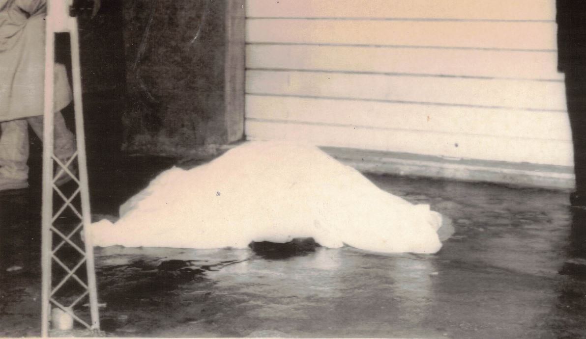 ‘Ndrangheta a Vibo, geologo ucciso in pieno centro: due condanne – NOMI