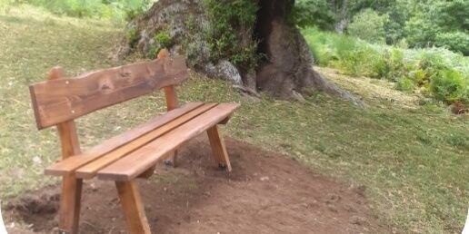 Cerva, Terna tutela il patrimonio naturalistico