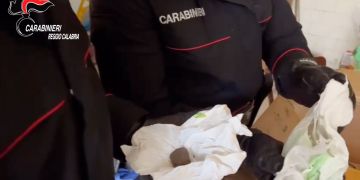 Blitz antidroga a Reggio, uomo trovato in casa con cocaina, marijuana e hashish – VIDEO