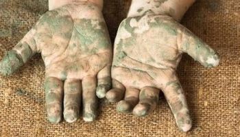 Rapport Unicef: in Calabria 2.635 lavoratori minorenni nel 2025