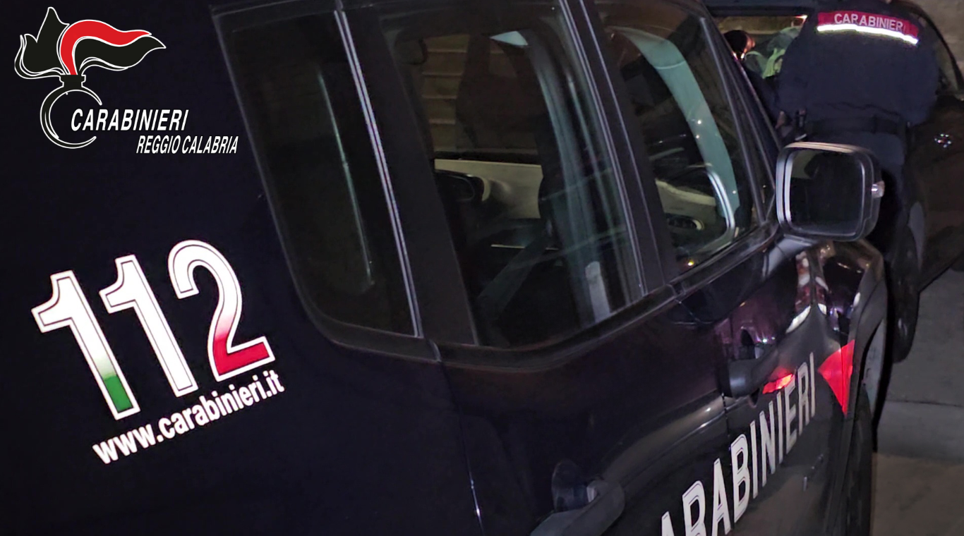 Maxi operazione dei Carabinieri nella Piana di Gioia Tauro: caseificio abusivo e furti di energia