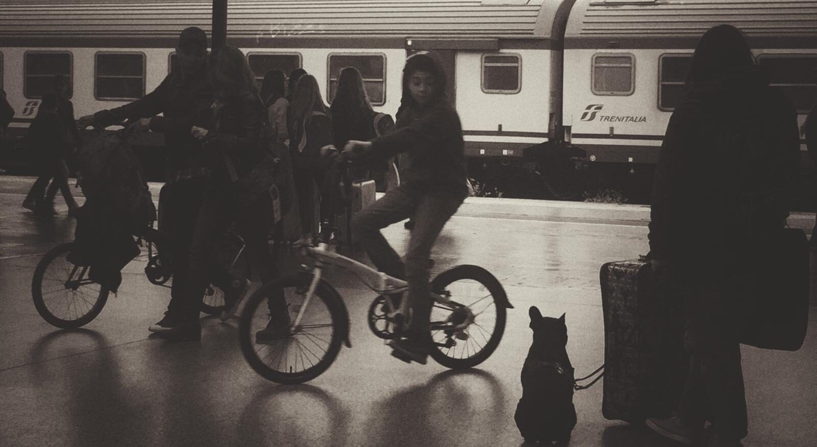 La storia di Marta, precaria della scuola: «Insegno in Lombardia e faccio il Tfa in Calabria»