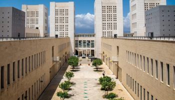 Università Mediterranea, cresce la componente femminile (anche in area Stem)