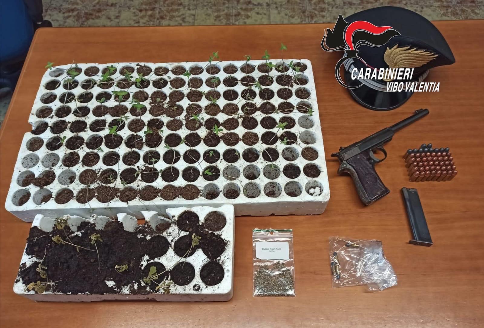 Beccato con pistola, munizioni e piantine di marijuana: un arresto a Dinami