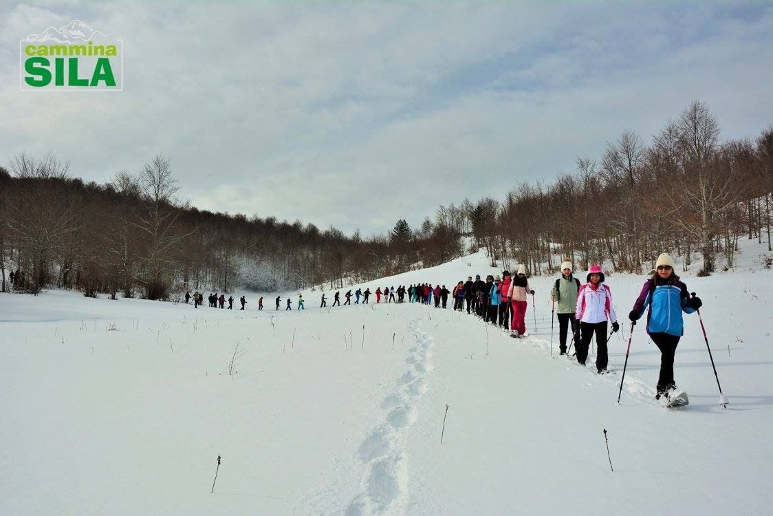 «Facciamo della Sila il motore della Calabria»