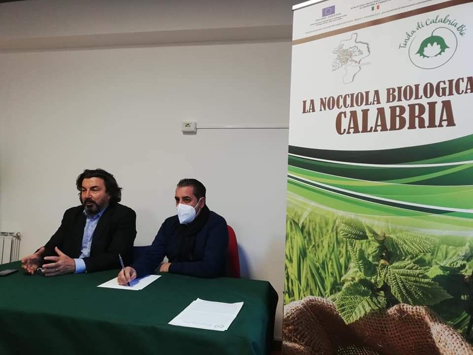 Filiera della nocciola, arriva un contributo da 160mila euro