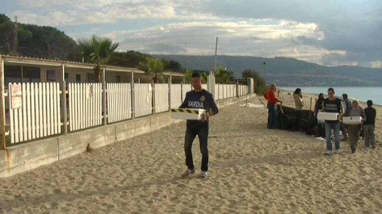 Nidiata tartarughe a rischio, uova e piccoli trasferiti a Napoli