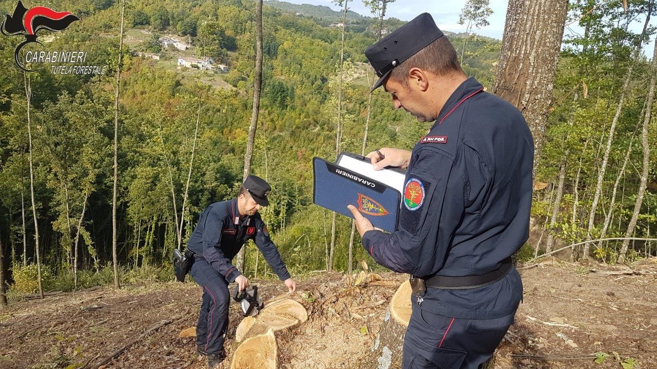 Satriano, la storia di Rebecca: aiutata dai social, diventa vittima di cyberbullismo