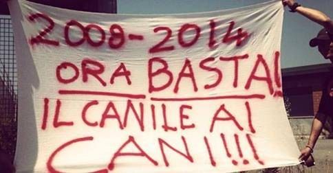 Canile di Pellaro, i volontari chiedono l'affidamento