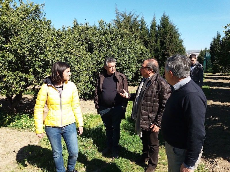 Dieni: «Azienda “San Gregorio” eccellenza da tutelare»