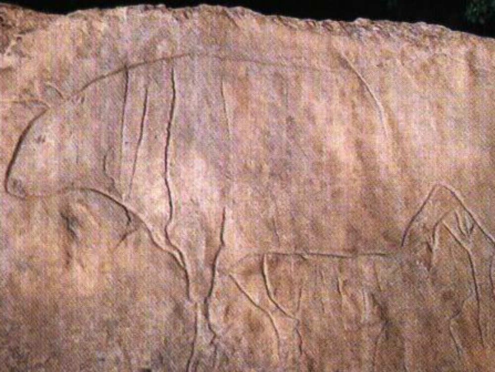 Nuove scoperte a Papasidero