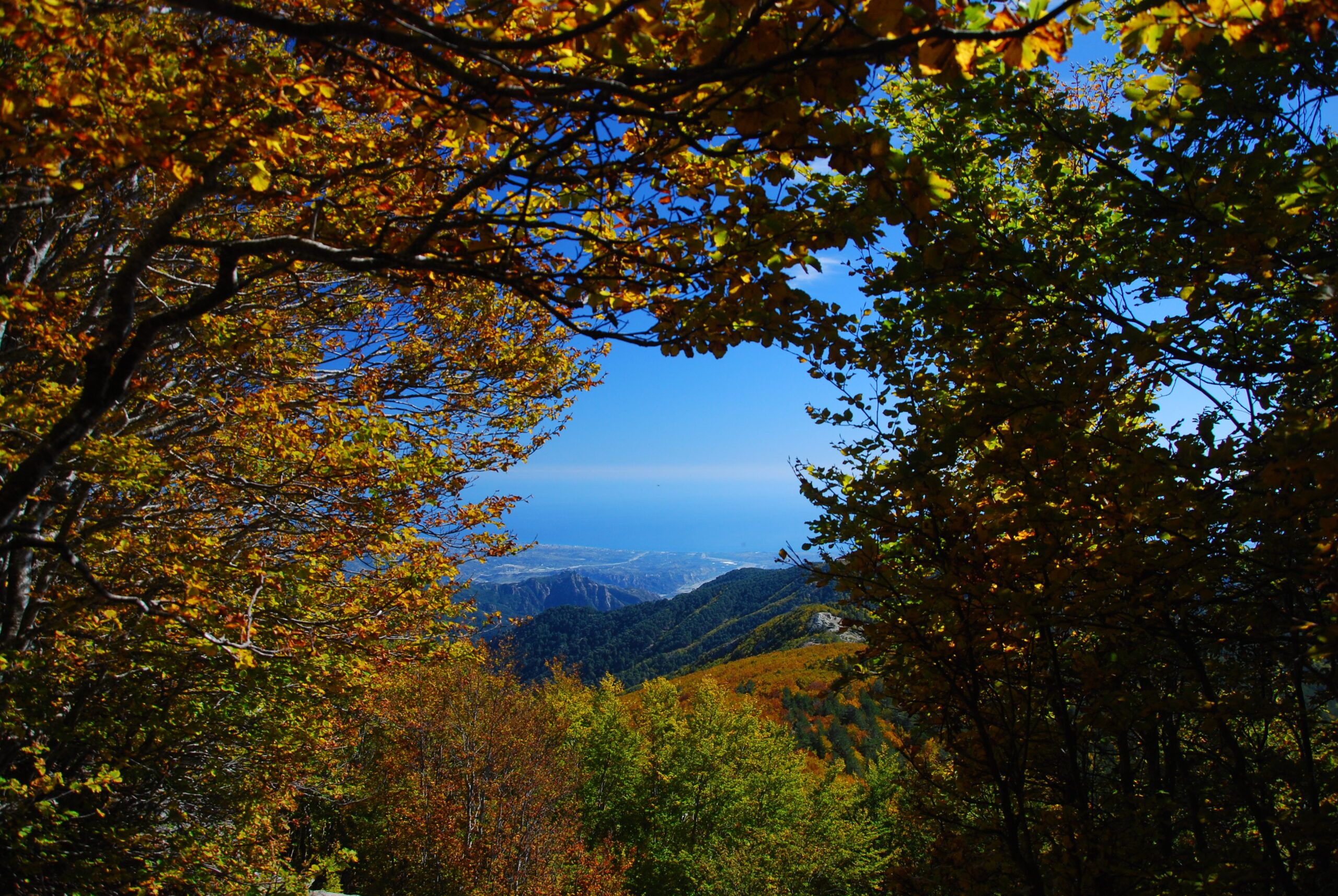 “Emigranti” di Francesco Perri: un profondo amore per l’Aspromonte