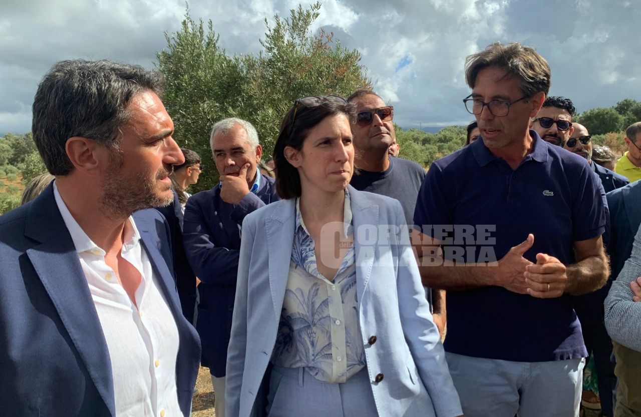 Elly Schlein sui terreni bruciati della Valle del Marro: «Lo Stato deve aiutare chi gestisce i beni confiscati»